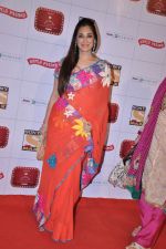 Lucky Morani at Stardust Awards 2013 red carpet in Mumbai on 26th jan 2013 (498).JPG